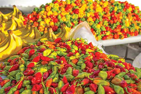 Peppers on sale