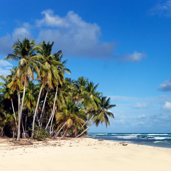 Caribbean Beach